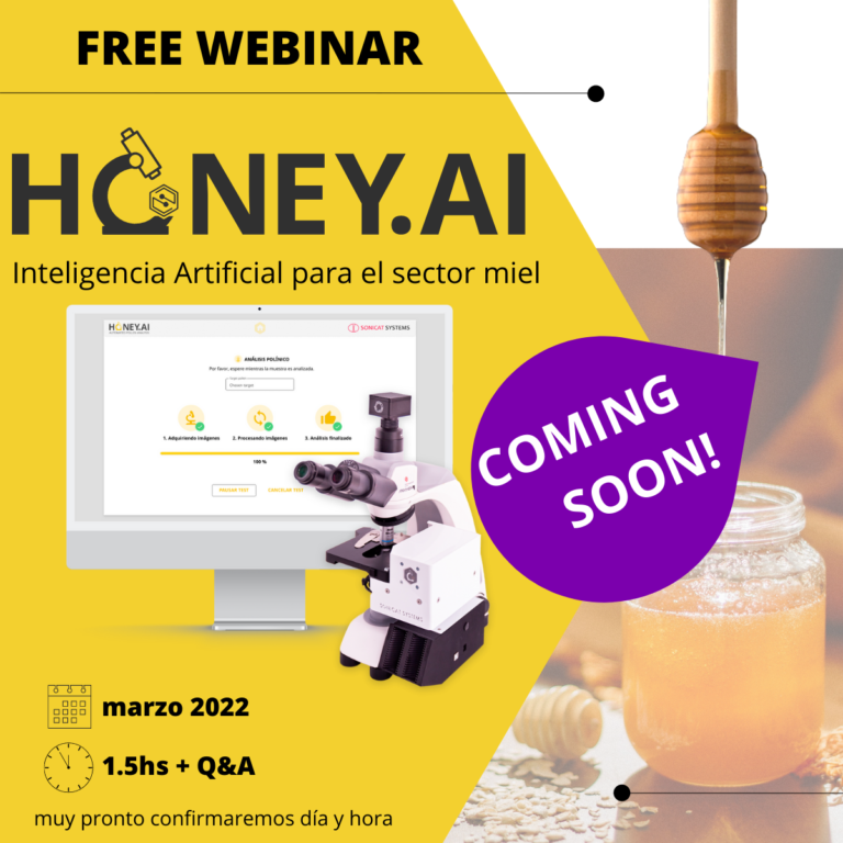 Webinar inteligencia artificial